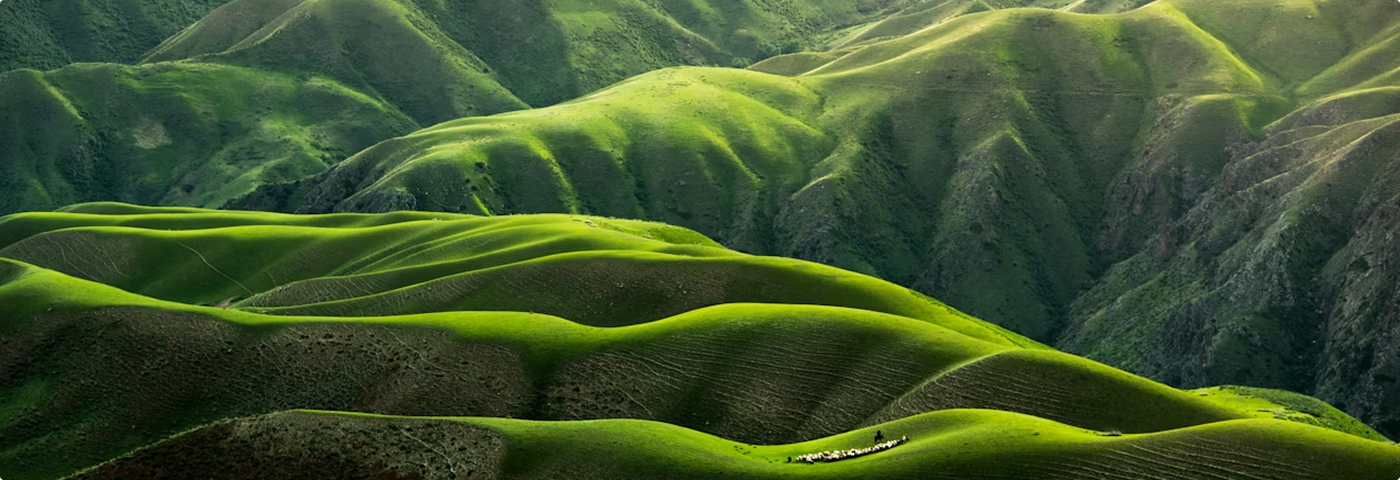 GAL – It’s Our Future