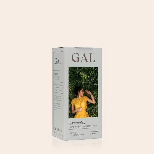 GAL K-komplex